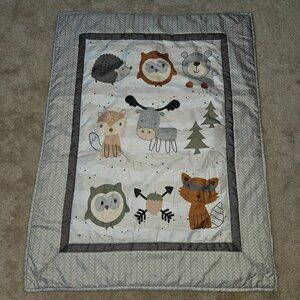 Farallon Comforter Blanket Baby Nursery Woodland Walk Owl Raccoon Tree 32x41